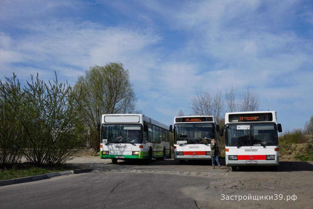 Автобусы в Калининграде